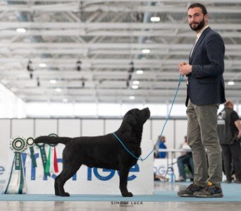 Jon campione Jon labrador nero campione