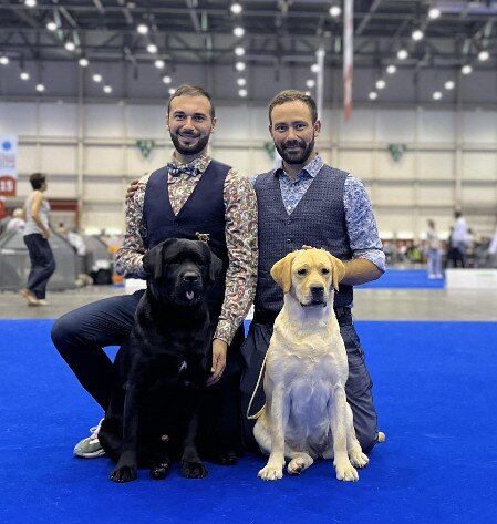 WDS 2023 labrador