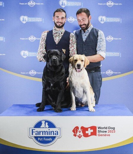 world dog show 23 labrador campionato del mondo